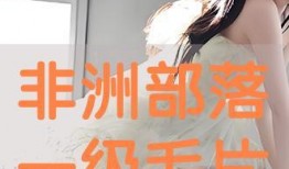 免费的毛片片在线观看,揭秘网络影视的灰色地带