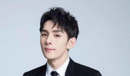 王洁爆料李伟健视频播放,真相与争议