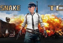 壮哥爆料吃鸡视频大全最新